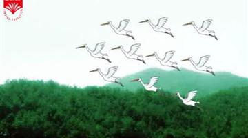 《词两首——渔歌子》课文朗读动漫