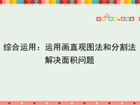 综合运用：运用画直观图法和分割法解决面积问题