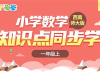 【知识点轻松学】一年级上（西师版）