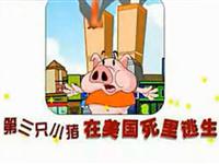第三只小猪在美国死里逃生24