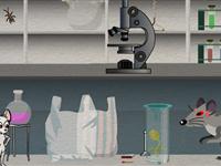 女白鼠逃离实验室