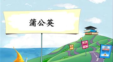 《蒲公英-2》教学PPT