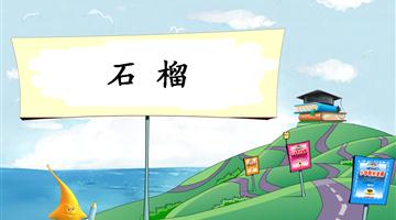 《石榴-1》教学PPT