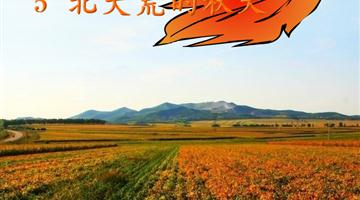 《北大荒的秋天》朗读动漫