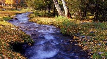 5《泉水》教学PPT