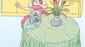 13《动手做做看-1》教学PPT