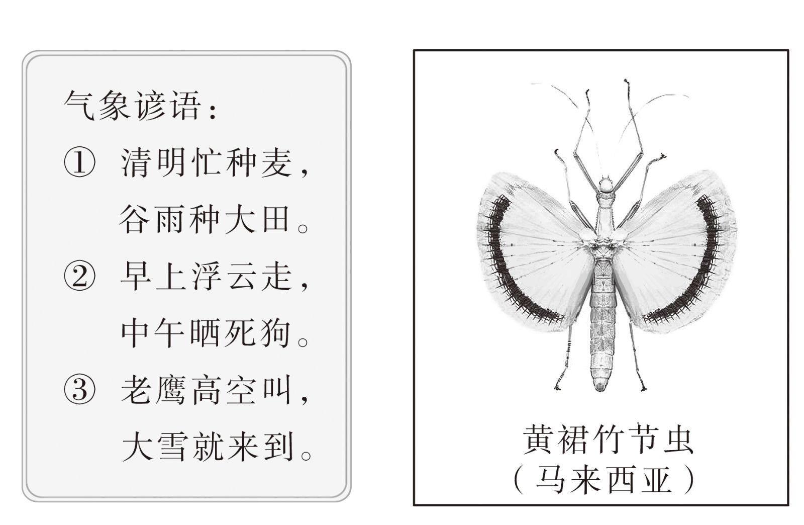 一年级气象谚语,气象谚语,气象谚语报_文秘苑图库